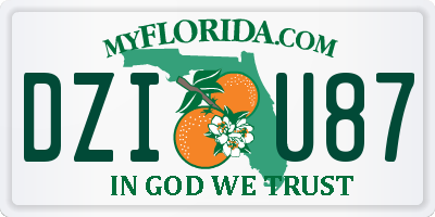 FL license plate DZIU87