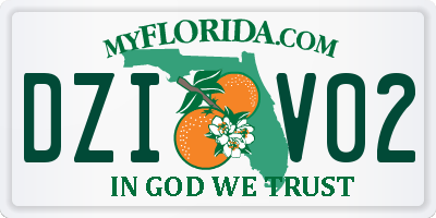 FL license plate DZIV02