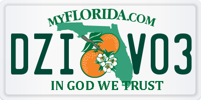 FL license plate DZIV03