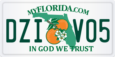 FL license plate DZIV05