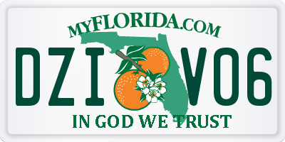 FL license plate DZIV06