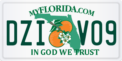 FL license plate DZIV09