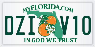 FL license plate DZIV10
