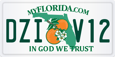 FL license plate DZIV12