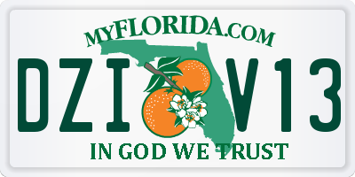 FL license plate DZIV13