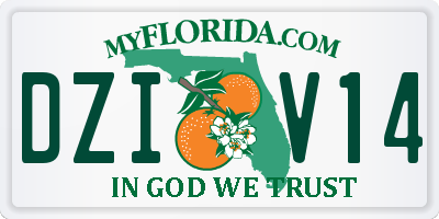 FL license plate DZIV14