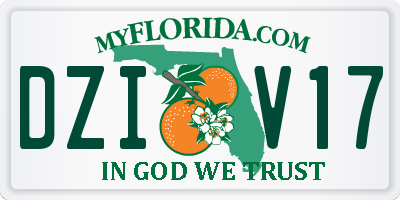 FL license plate DZIV17