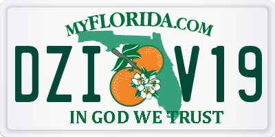 FL license plate DZIV19