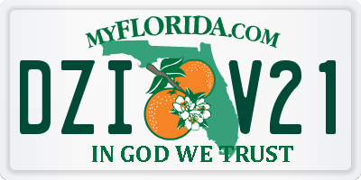 FL license plate DZIV21