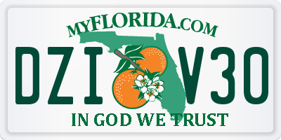 FL license plate DZIV30