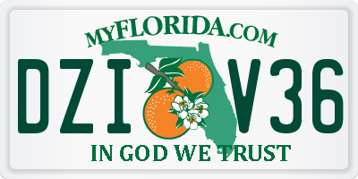 FL license plate DZIV36