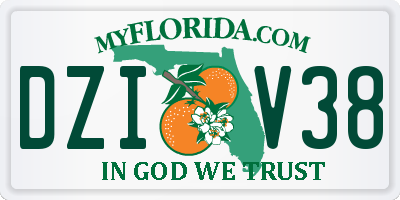 FL license plate DZIV38