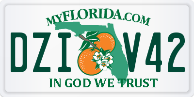 FL license plate DZIV42