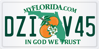 FL license plate DZIV45