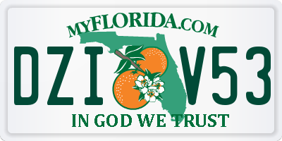 FL license plate DZIV53