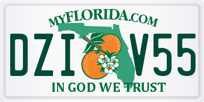 FL license plate DZIV55