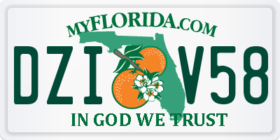 FL license plate DZIV58