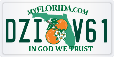 FL license plate DZIV61