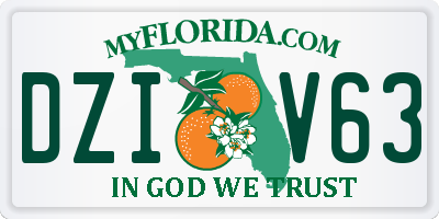 FL license plate DZIV63