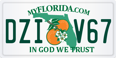 FL license plate DZIV67