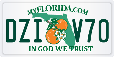 FL license plate DZIV70