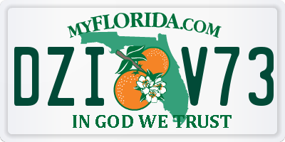 FL license plate DZIV73