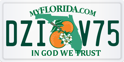 FL license plate DZIV75
