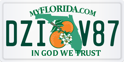 FL license plate DZIV87