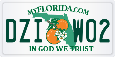 FL license plate DZIW02
