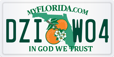 FL license plate DZIW04