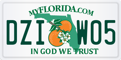 FL license plate DZIW05