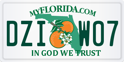 FL license plate DZIW07