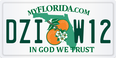 FL license plate DZIW12