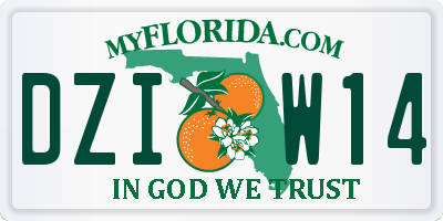 FL license plate DZIW14