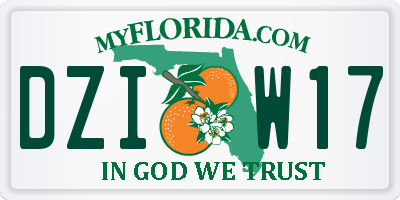 FL license plate DZIW17