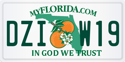 FL license plate DZIW19