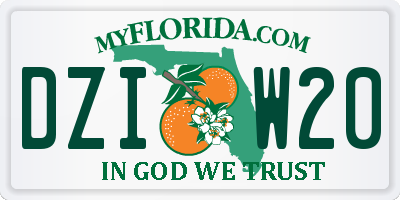FL license plate DZIW20