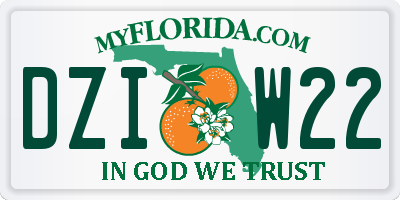 FL license plate DZIW22