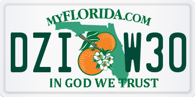 FL license plate DZIW30