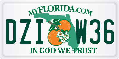 FL license plate DZIW36