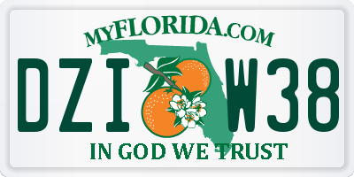 FL license plate DZIW38