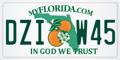 FL license plate DZIW45