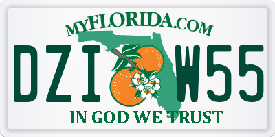 FL license plate DZIW55