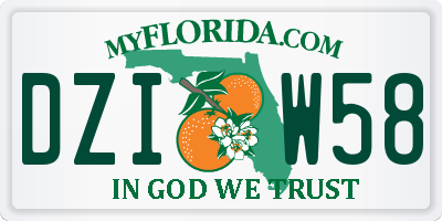 FL license plate DZIW58