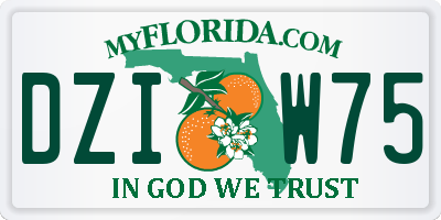FL license plate DZIW75