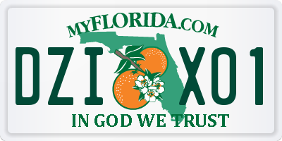FL license plate DZIX01
