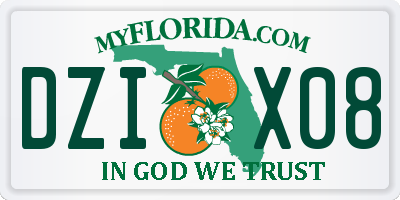 FL license plate DZIX08