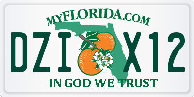 FL license plate DZIX12