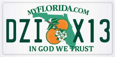 FL license plate DZIX13