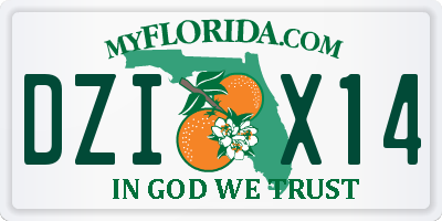 FL license plate DZIX14